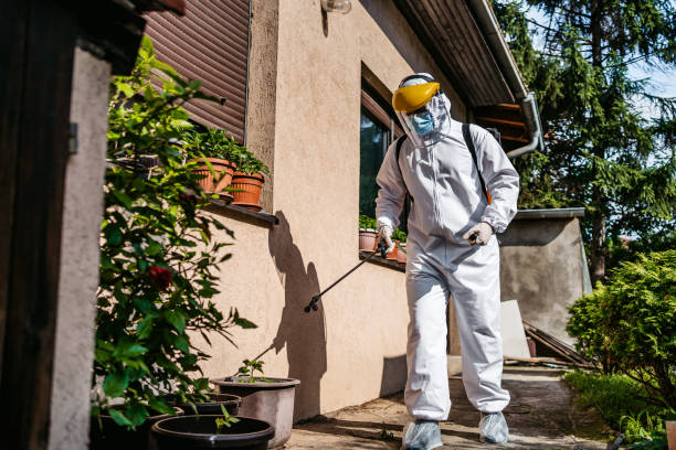 Flea Control Services in Mint Hill, NC