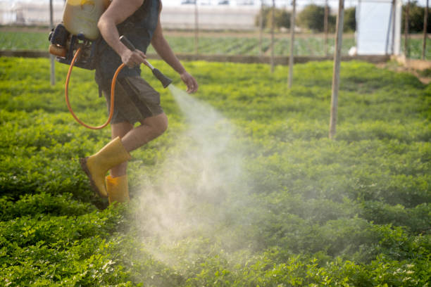 Best Pest Prevention Services  in Mint Hill, NC