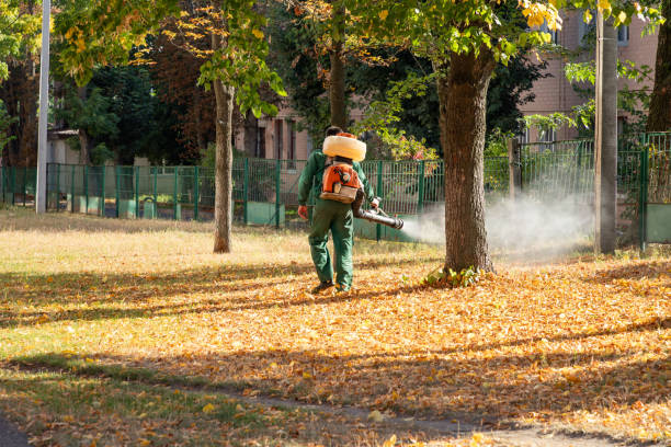 Best Flea Control Services  in Mint Hill, NC