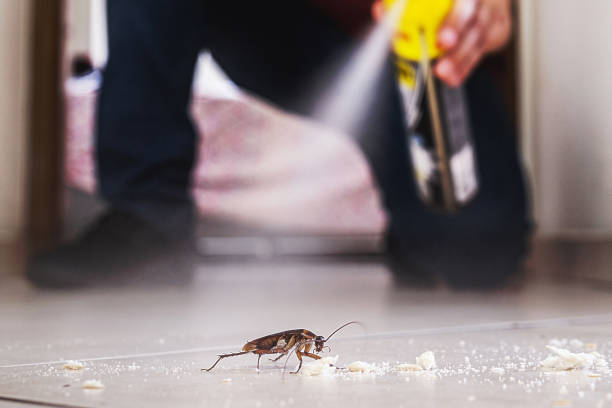 Best Commercial Pest Control Services  in Mint Hill, NC